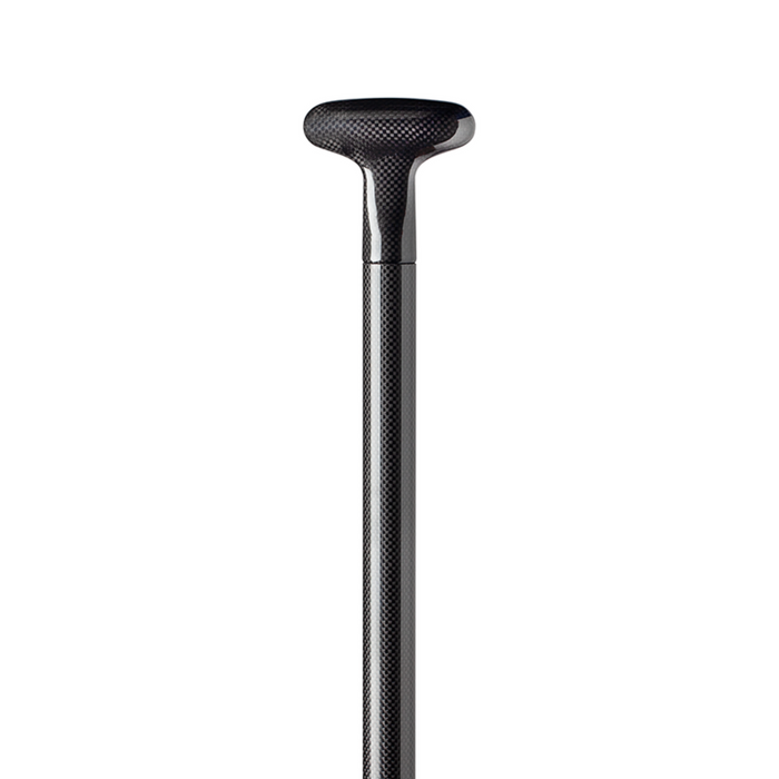 Bending Branches - Black Pearl II