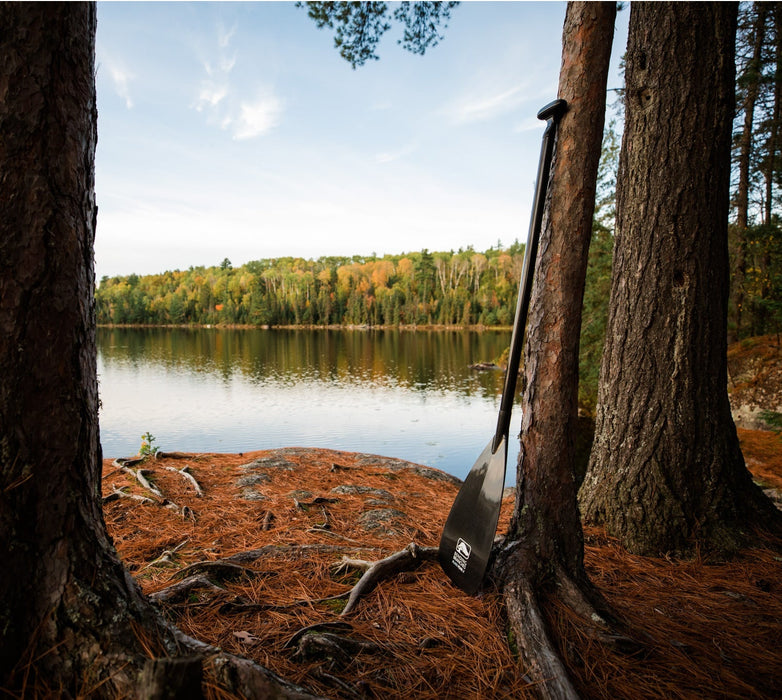 Bending Branches - Black Pearl II